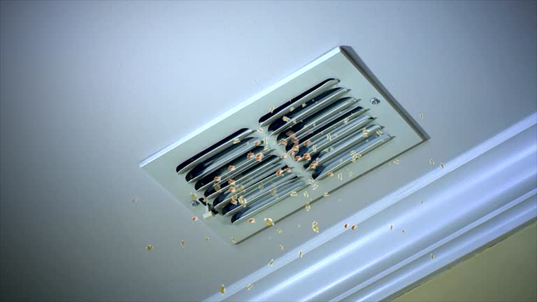 Best Ventilation Cleaning Services  in Hugo, OK